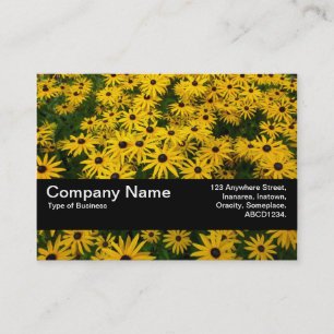 Textuurband V2 - zwarte veredeling (Rudbeckia Hir) Visitekaartje