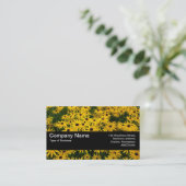 Textuurband V2 - zwarte veredeling (Rudbeckia Hir) Visitekaartje (Staand voorkant)