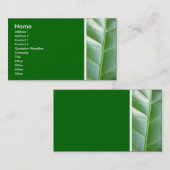 Textuurtoon (Maartenblad) II Visitekaartje (Voorkant / Achterkant)