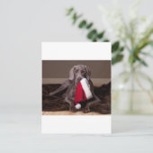 Teyla de Weimaraner en Santa Hat Feestdagenkaart (Staand voorkant)