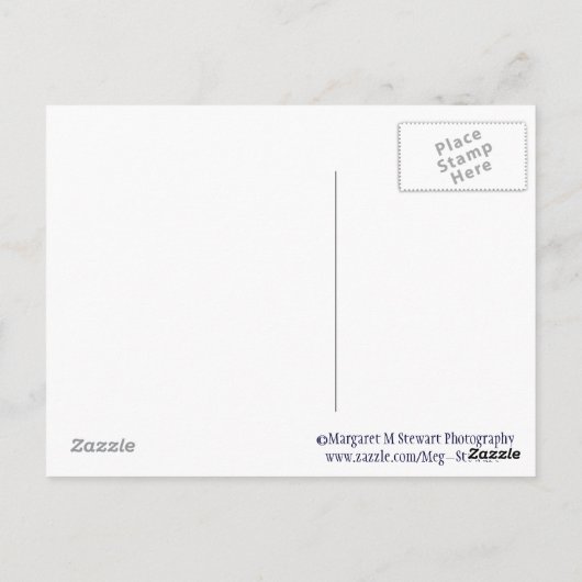 TGIF Rozenkrans Briefkaart (Achterkant)