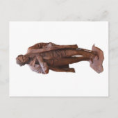 Thaddeus Stevens standbeeld in Gettysburg, PA-brie Briefkaart (Voorkant)