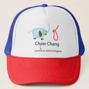 Thai alfabet betekent olifant Chaw Chang pet