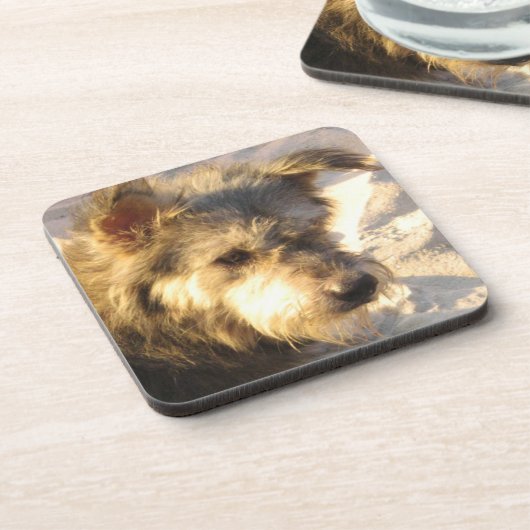 Thai Beach Dog Bier Onderzetter (Linkerzijde)