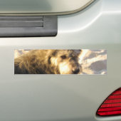 Thai Beach Dog Bumpersticker (Op auto)