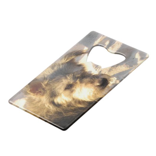 Thai Beach Dog Creditkaart Flessenopener (Achterkant Gekanteld)