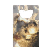 Thai Beach Dog Creditkaart Flessenopener (Achterkant)