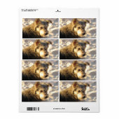 Thai Beach Dog Etiket (Full Sheet)