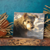 Thai Beach Dog Fotoplaat (Zijkant)