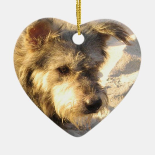 Thai Beach Dog Keramisch Ornament (Voorkant)