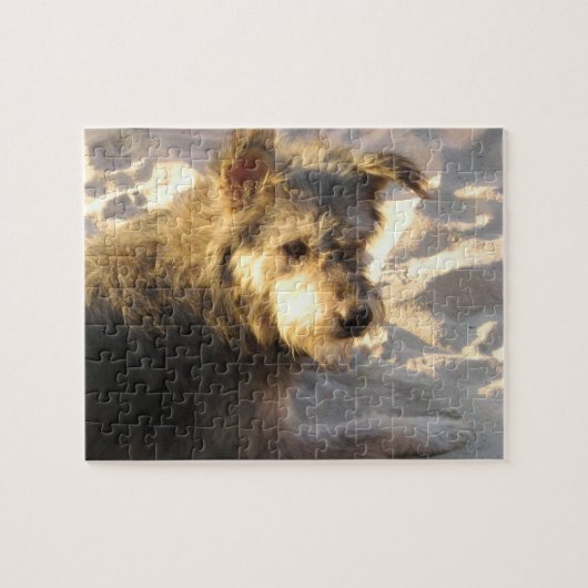 Thai Beach Dog Legpuzzel (Horizontaal)