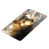 Thai Beach Dog Magneet (Linkerzijde)