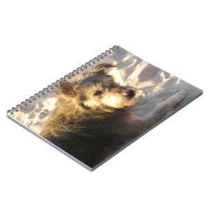 Thai Beach Dog Notitieboek