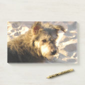 Thai Beach Dog Post-it® Notes (Op bureau)