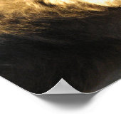 Thai Beach Dog Poster (Hoek)