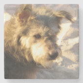 Thai Beach Dog Stenen Onderzetter (Voorkant)