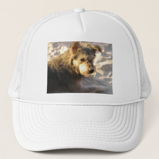 Thai Beach Dog Trucker Pet (Voorkant)