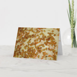 "Thai Chicken Pizza" Get Well Card Kaart