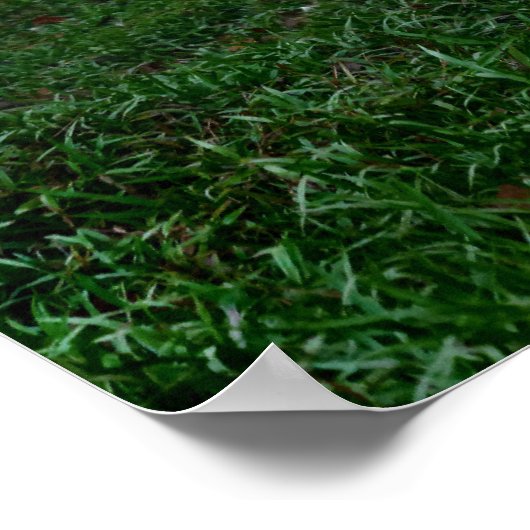 Thai Elephant Poster (Hoek)