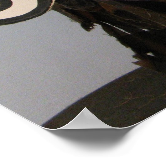 Thai Ghost Face, Phi Ta Khon Mask Festival, Loei Poster (Hoek)