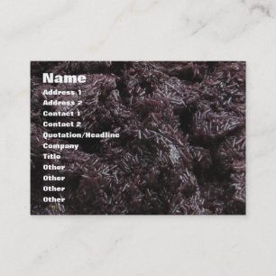 Thai Lao Black Rice (Khao Niao Dam) Visitekaartje