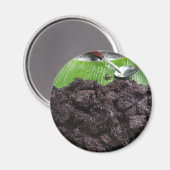 Thai Lao Black Sticky Rice (Khao Niao Dam) Magneet (Voorkant / Achterkant)