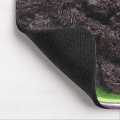 Thai Lao Black Sticky Rice (Khao Niao Dam) Muismat (Hoek)