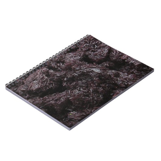 Thai Lao Black Sticky Rice (Khao Niao Dam) Notitieboek (Linkerzijde)