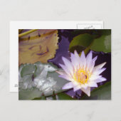 Thai Lotus, bij en vis Briefkaart (Voorkant / Achterkant)