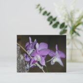 Thai Orchid Briefkaart (Staand voorkant)
