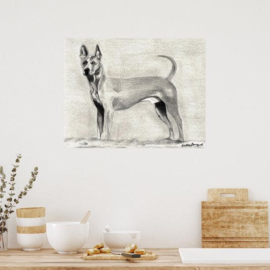 Thai Ridgeback Dog Print (Keuken)