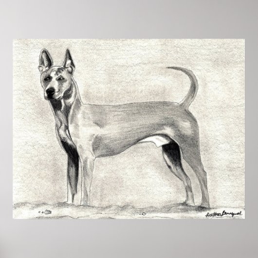 Thai Ridgeback Dog Print (Voorkant)