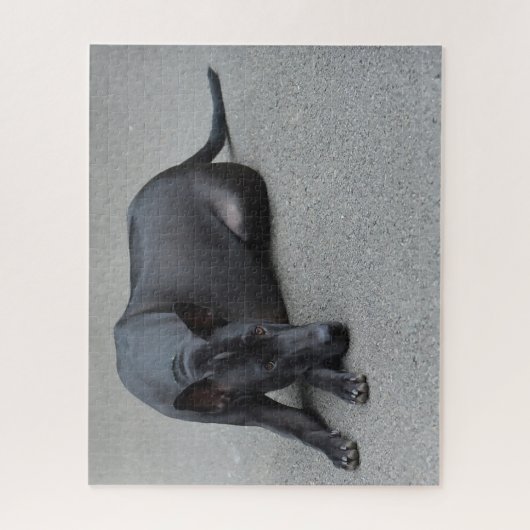 Thai Ridgeback Dogs Jigsaws. Legpuzzel (Verticaal)