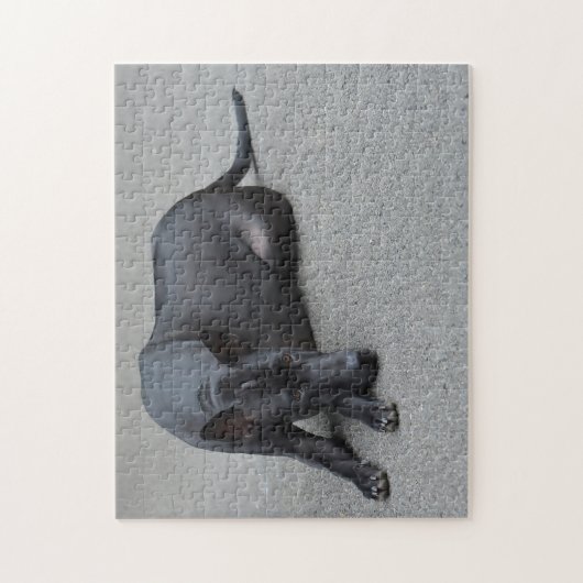 Thai Ridgeback Dogs Jigsaws. Legpuzzel (Verticaal)