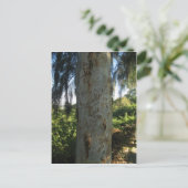 Thai Tree Graffiti Briefkaart (Staand voorkant)