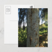 Thai Tree Graffiti Briefkaart (Voorkant / Achterkant)