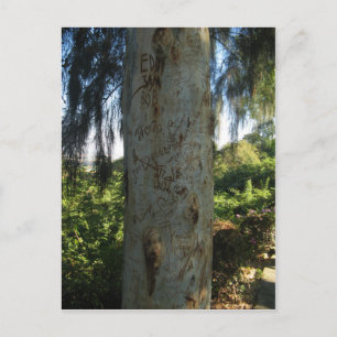 Thai Tree Graffiti Briefkaart