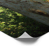 Thai Tree Graffiti Poster (Hoek)