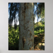 Thai Tree Graffiti Poster (Voorkant)