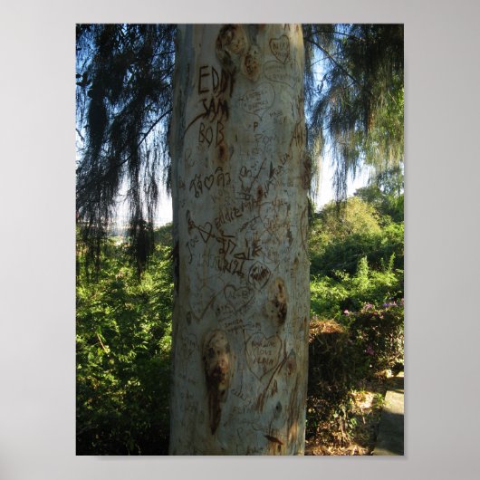 Thai Tree Graffiti Poster (Voorkant)