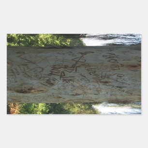 Thai Tree Graffiti Rechthoekige Sticker