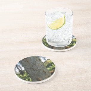 Thai Tree Graffiti Zandsteen Onderzetter