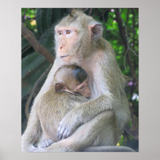 Thailand Aap Moeder en Kind Knuffelen Poster (Voorkant)