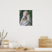 Thailand Aap Moeder en Kind Knuffelen Poster (Keuken)