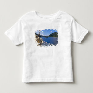 Thailand, Andaman Zee. Star Fyer klipper Kinder Shirts