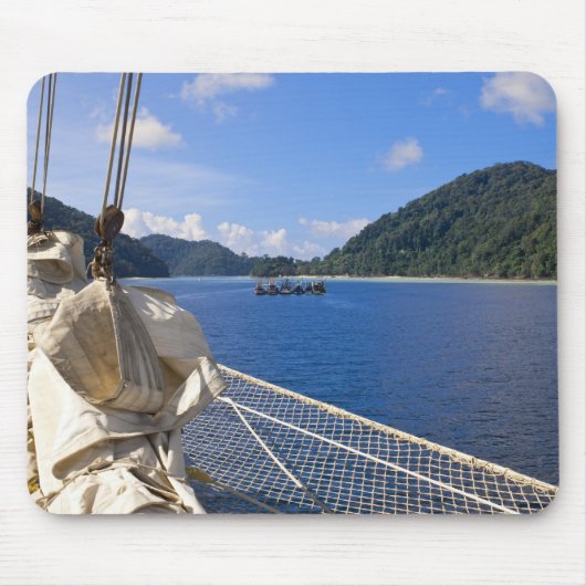 Thailand, Andaman Zee. Star Fyer klipper Muismat (Voorkant)