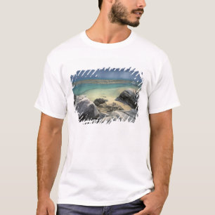 Thailand, Andamanzee, Ko Phi Phi-eiland, Schildera T-shirt