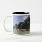 Thailand, Andamanzee, Ko Phi Phi-eiland, Strand Tweekleurige Koffiemok (Links)