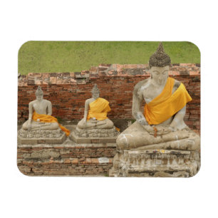 Thailand, Ayutthaya. Standbeelden van zittende boe Magneet