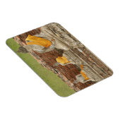 Thailand, Ayutthaya. Statuut van de zittende boedd Magneet (Rechterzijde)